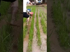 Herbicida multifuncional